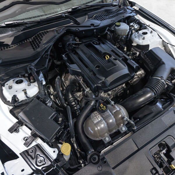 Ford Mustang Mach 1 2021 5.0L 480л.с.