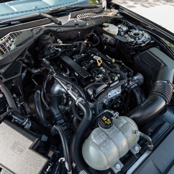 Ford Mustang 2022 2.3L 314cv