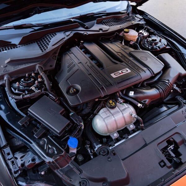 Ford Mustang Shelby GT500 2022 5.0L 450cv.