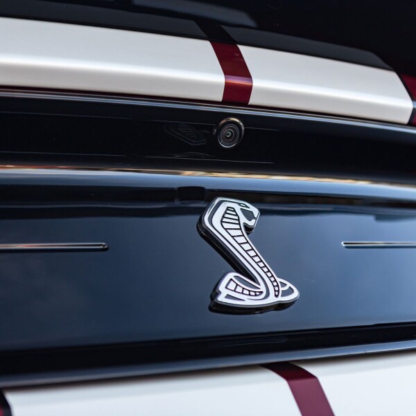 Ford Mustang Shelby GT500 2020 2.3L 314cv