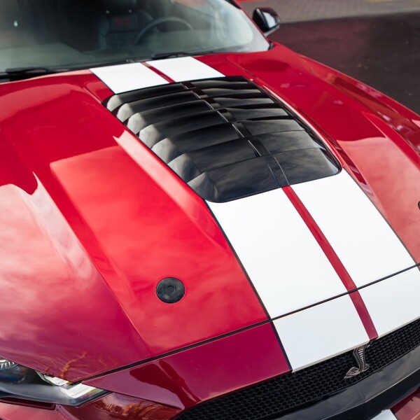Ford Mustang Shelby GT500 2020 2.3L 314cv