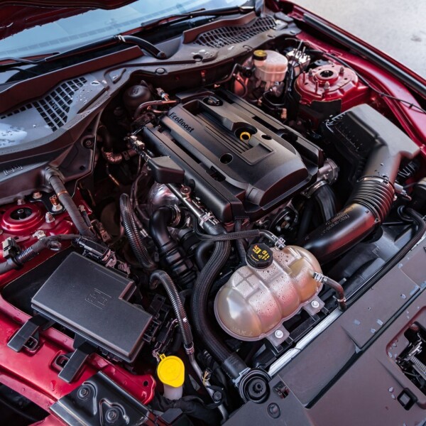 Ford Mustang Shelby GT500 2020 2.3L 314cv