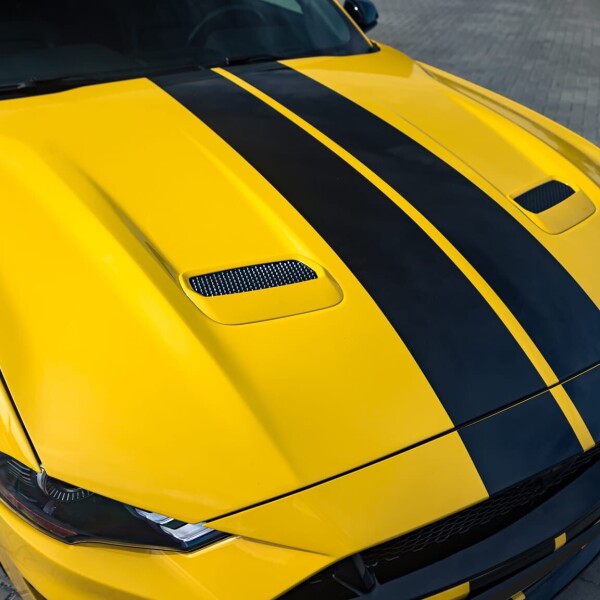 Ford Mustang 2019 2.3L 314cv