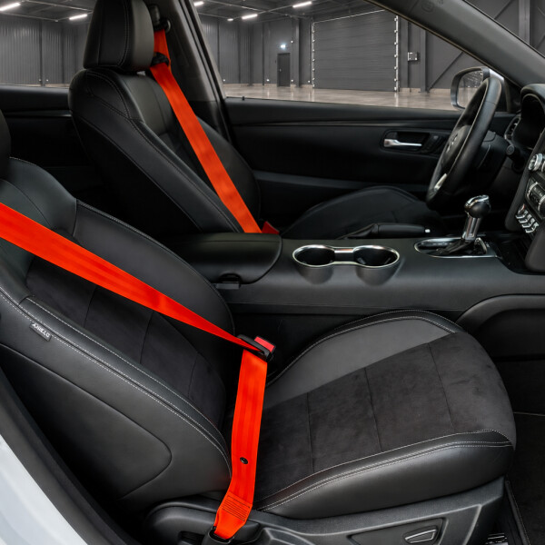 Ford Mustang 2.3 Ecobost 314hp