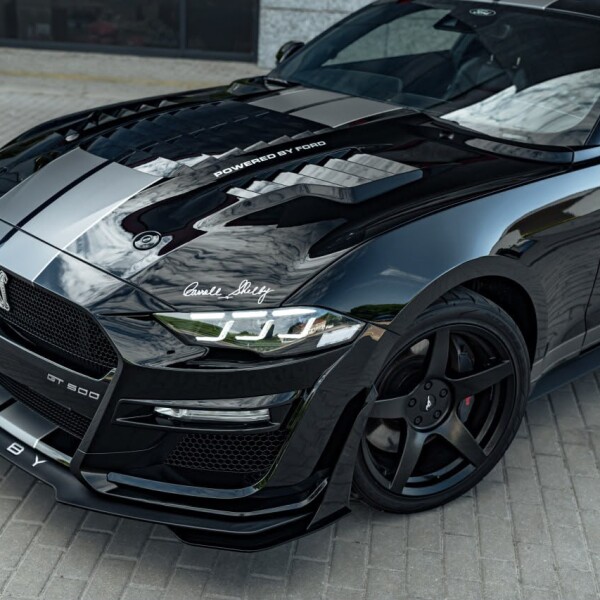 Ford Mustang GT Shelby 5.0 V8 2020