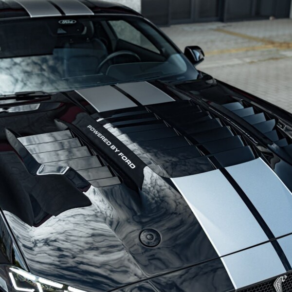 Ford Mustang GT Shelby 5.0 V8 2020